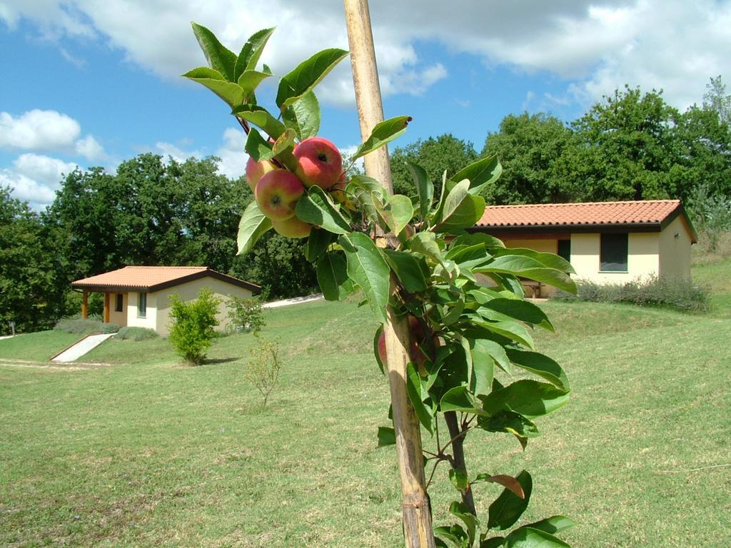 Valle del Lupo San Ginesio Esterno foto